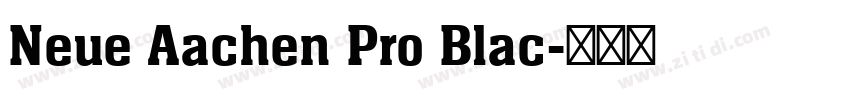 Neue Aachen Pro Blac字体转换